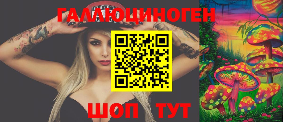 Галлюциногенные грибы GOLDEN TEACHER Уссурийск